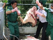 Bóng đá anh, ngoại hạng anh, lịch thi đấu euro 2012, Dịch heo tai xanh có nguy cơ bùng phát 